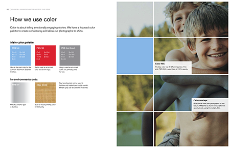 <h3>Brand Standards Manual</h3><p></p> 