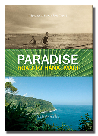 <h3>Travel book</h3><p>For short-run, fast-turnaround, quality photo books,
	       we can help.</p>