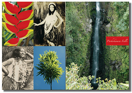 <h3>Travel book</h3><p>Interior spread.</p>